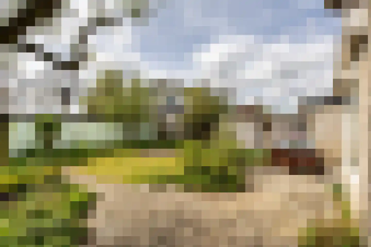 Seevank 218 Zwanenburg thumbnail 19