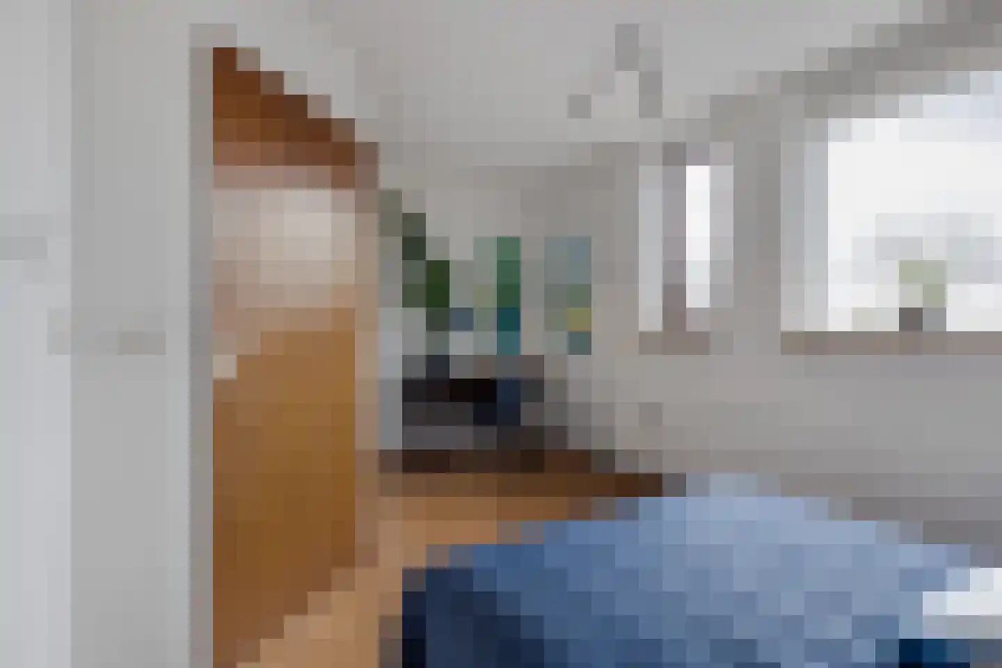 Seevank 218 Zwanenburg thumbnail 23