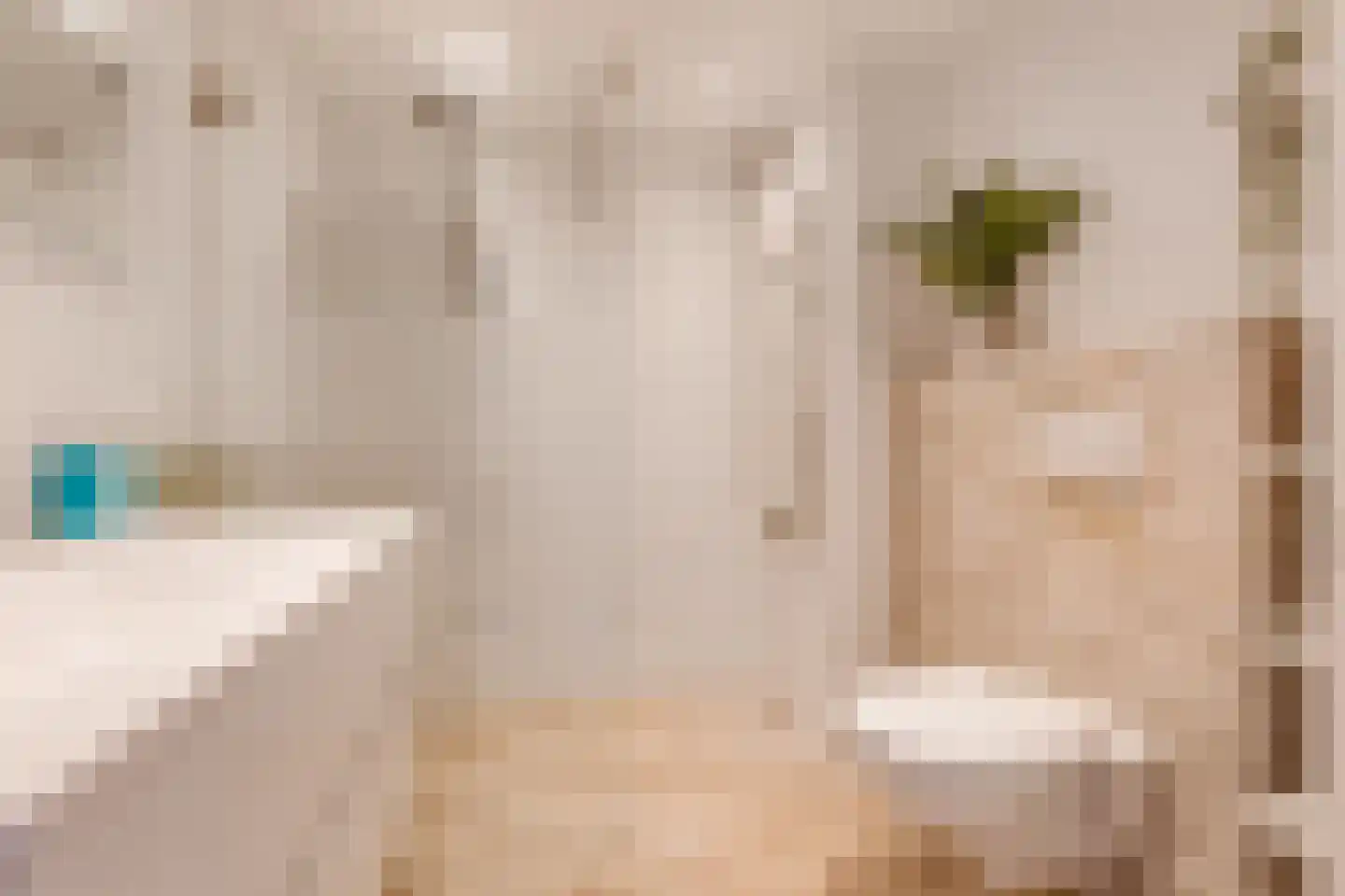 Seevank 218 Zwanenburg thumbnail 24