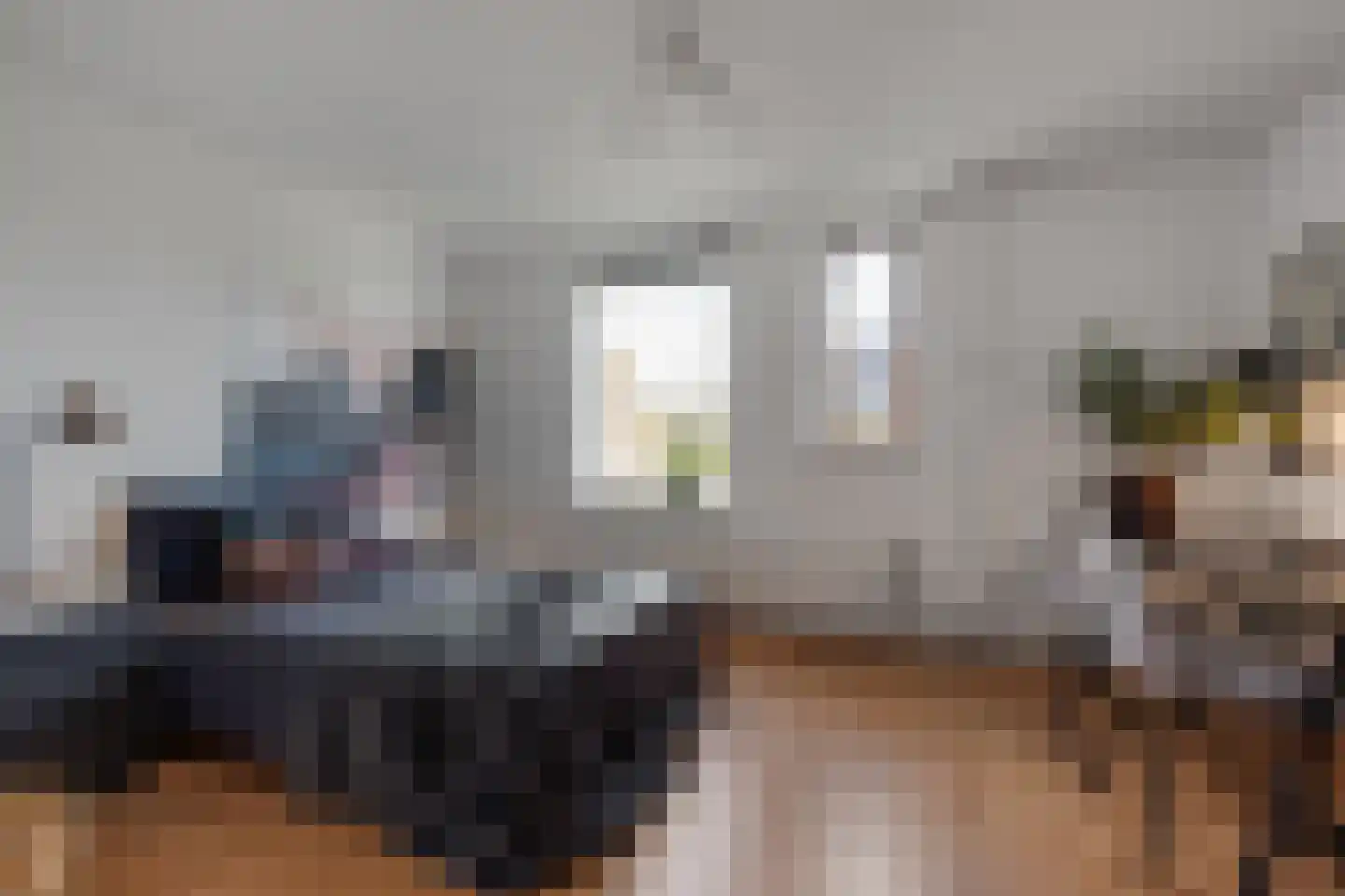 Seevank 218 Zwanenburg thumbnail 26