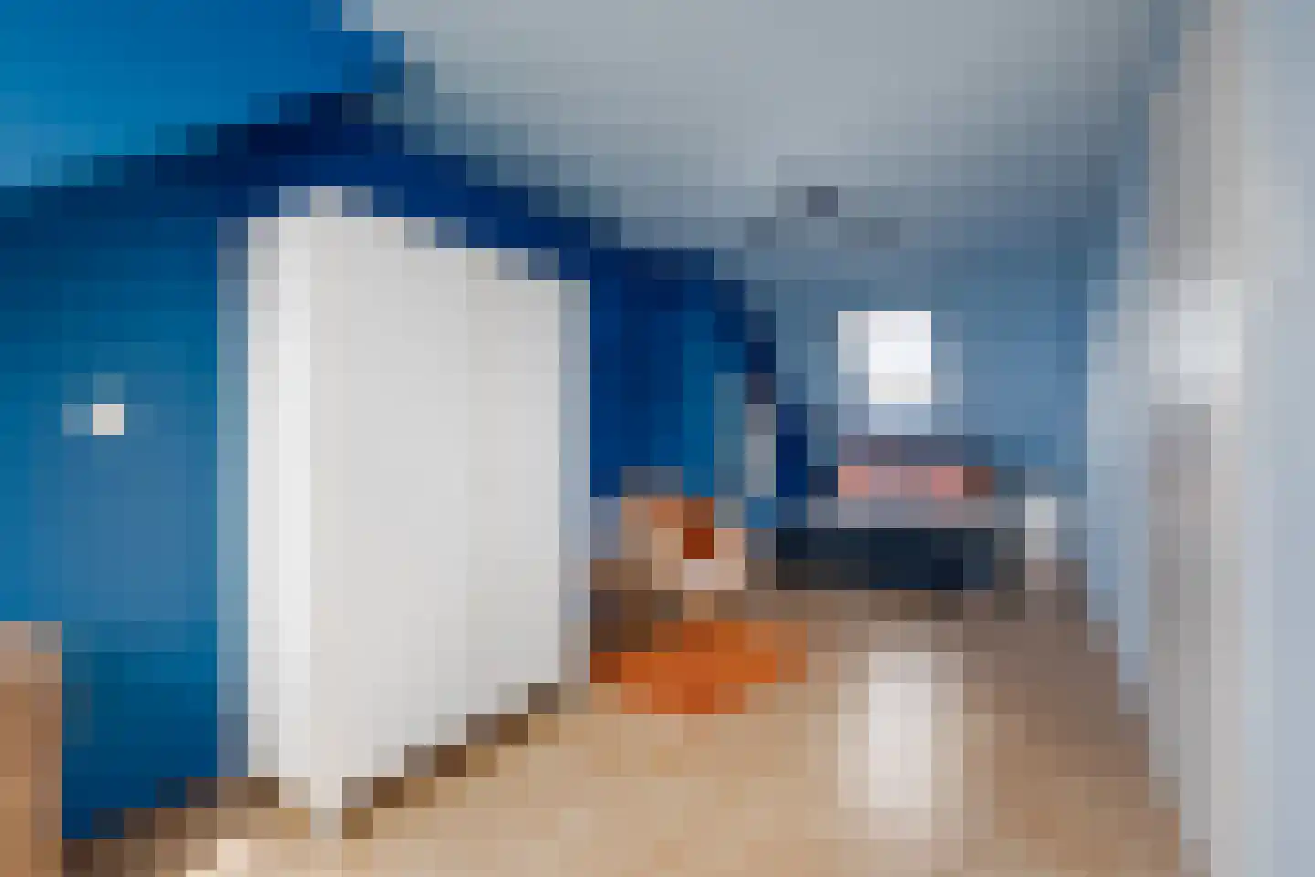 Seevank 218 Zwanenburg thumbnail 28