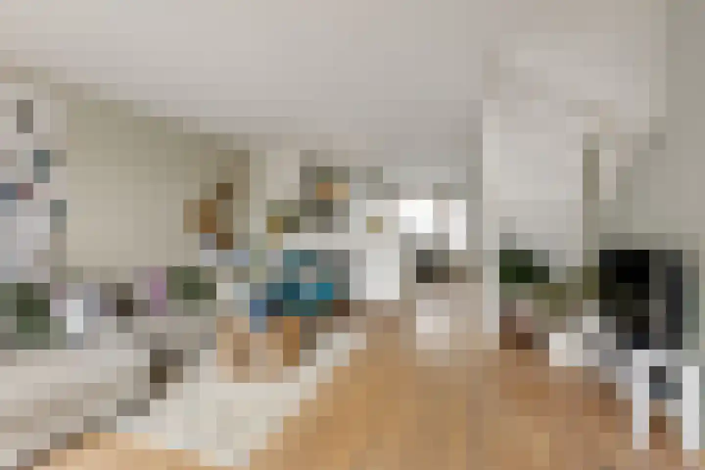 Seevank 218 Zwanenburg thumbnail 6