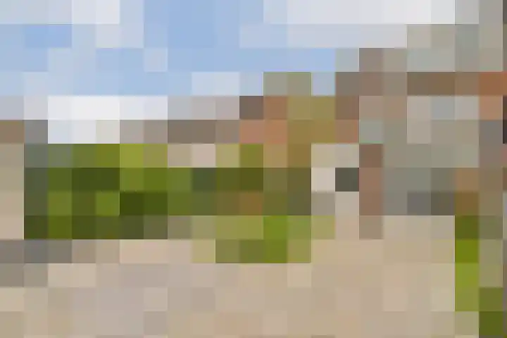 Seevank 24 Zwanenburg thumbnail 12