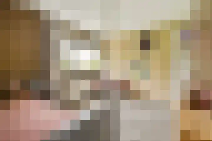 Seevank 24 Zwanenburg thumbnail 13