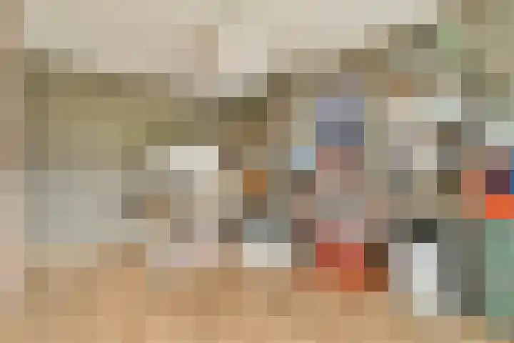 Seevank 24 Zwanenburg thumbnail 15