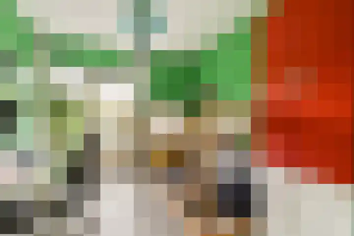 Seevank 24 Zwanenburg thumbnail 17