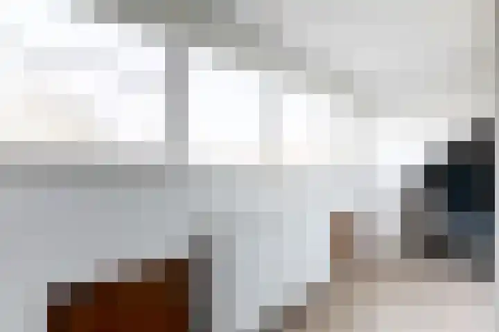 Seevank 24 Zwanenburg thumbnail 18