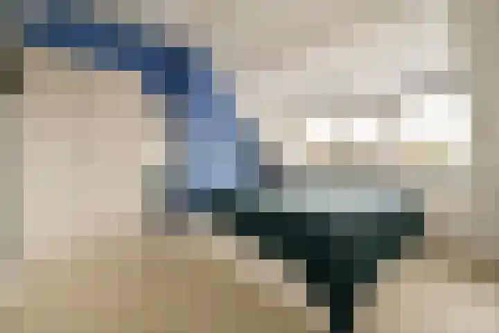 Seevank 24 Zwanenburg thumbnail 19