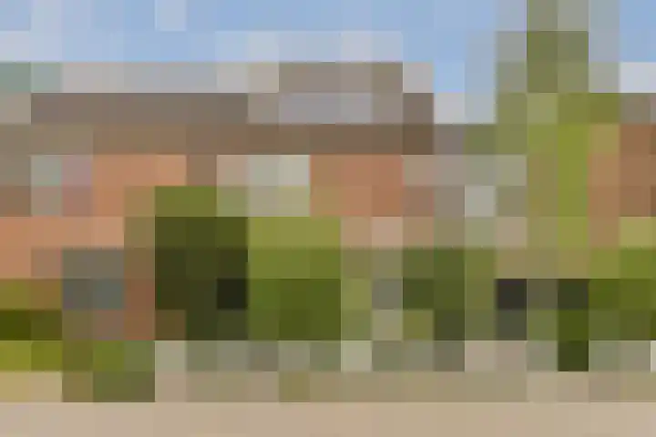 Seevank 24 Zwanenburg thumbnail 20