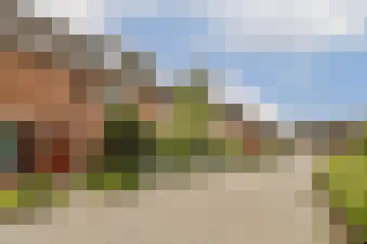 Seevank 24 Zwanenburg thumbnail 21