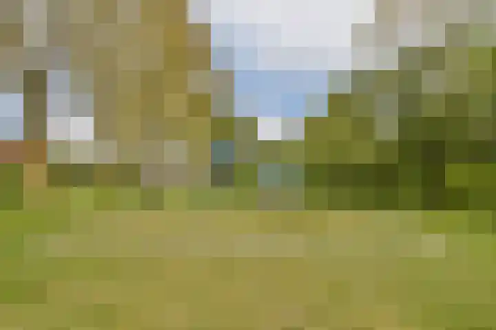 Seevank 24 Zwanenburg thumbnail 22
