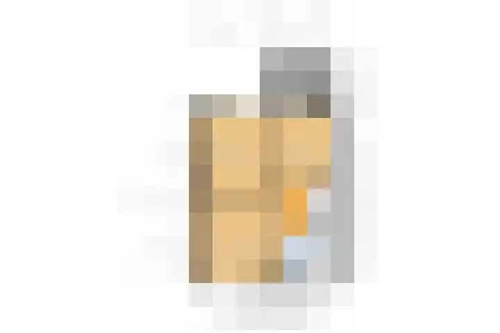 Seevank 24 Zwanenburg thumbnail 31