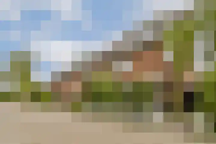 Seevank 24 Zwanenburg thumbnail 34