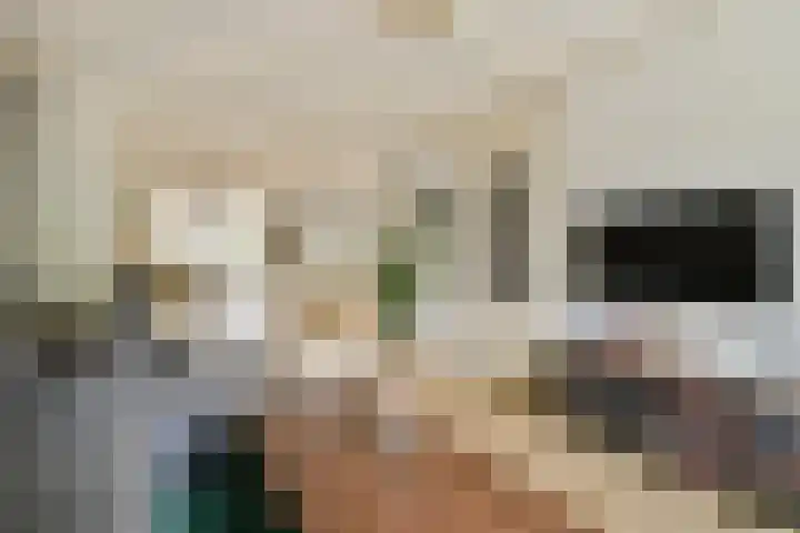 Seevank 24 Zwanenburg thumbnail 6