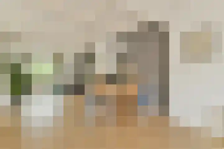 Seevank 24 Zwanenburg thumbnail 8