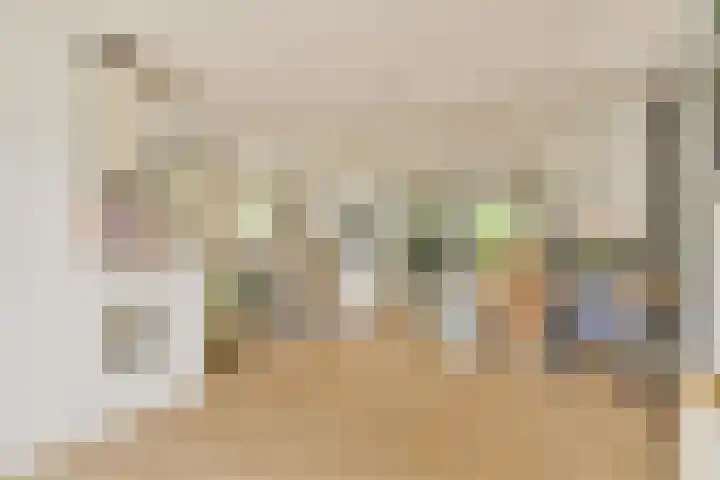 Seevank 24 Zwanenburg thumbnail 9