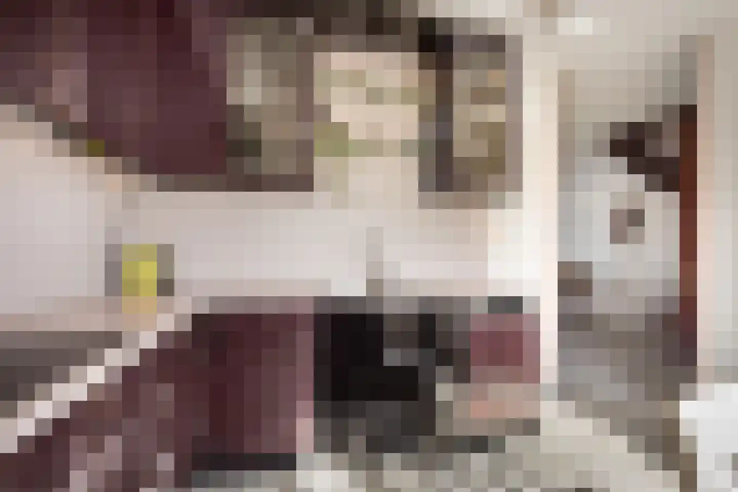 Seevank 86 Zwanenburg thumbnail 10