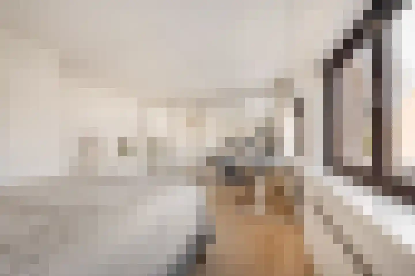 Seevank 86 Zwanenburg thumbnail 13
