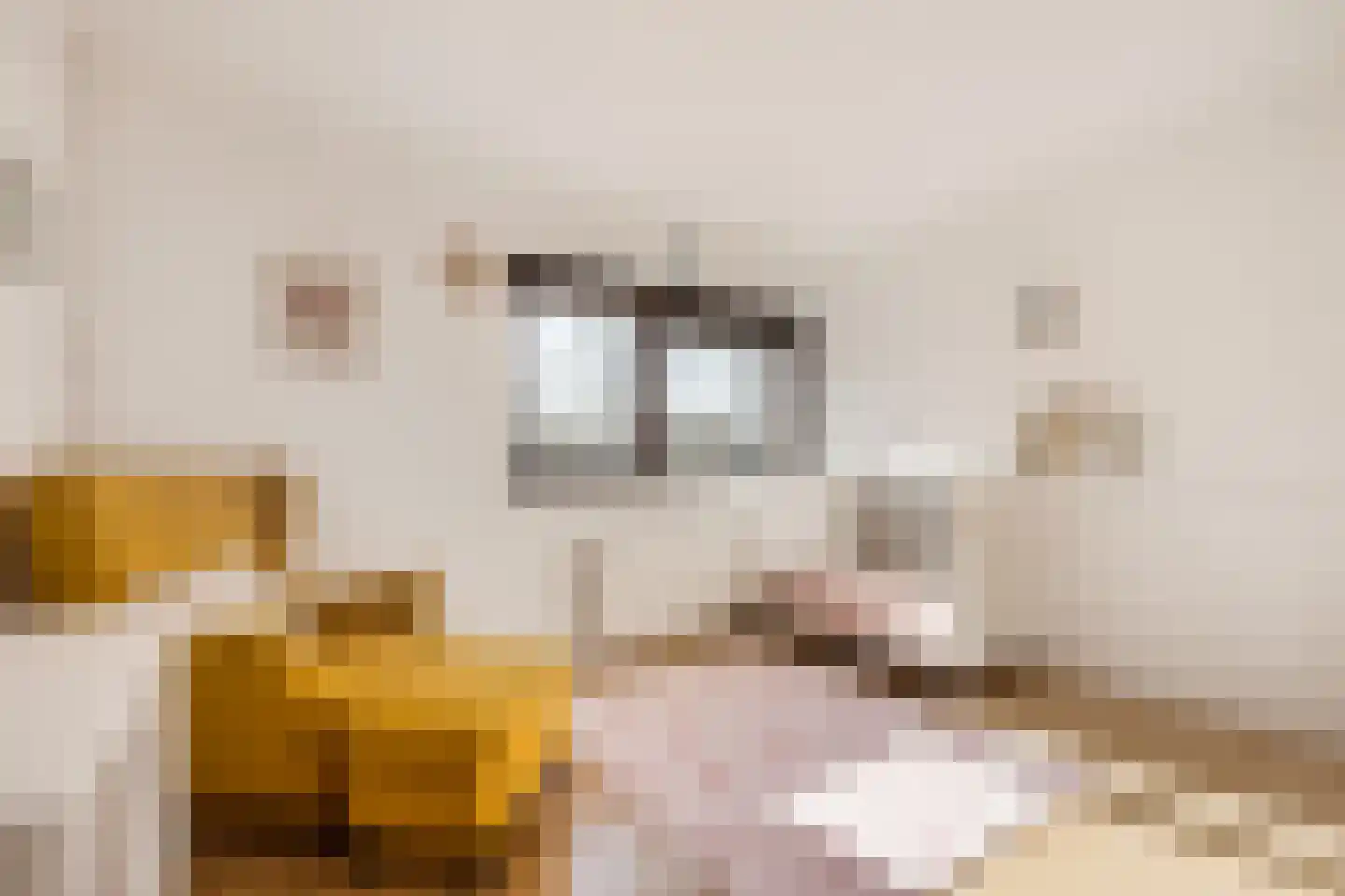 Seevank 86 Zwanenburg thumbnail 14