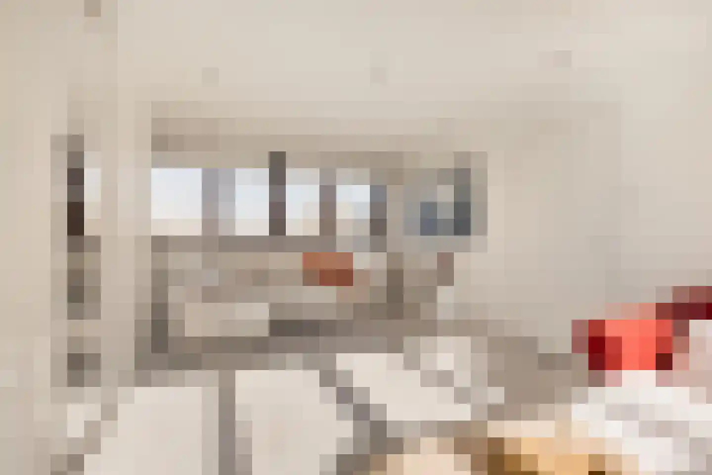 Seevank 86 Zwanenburg thumbnail 17