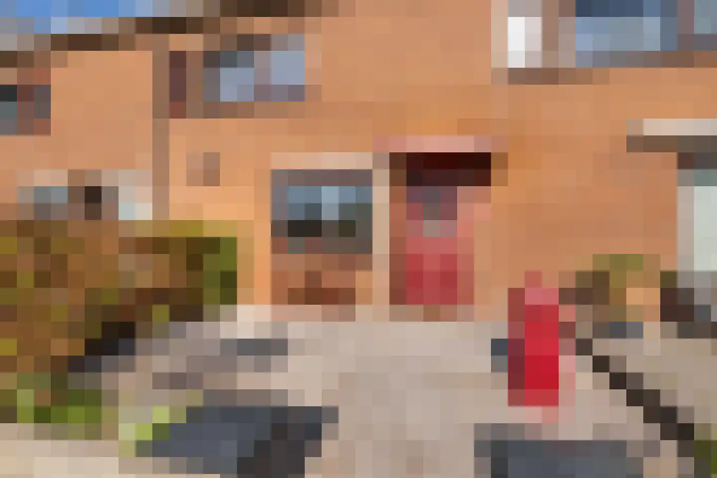 Seevank 86 Zwanenburg thumbnail 24