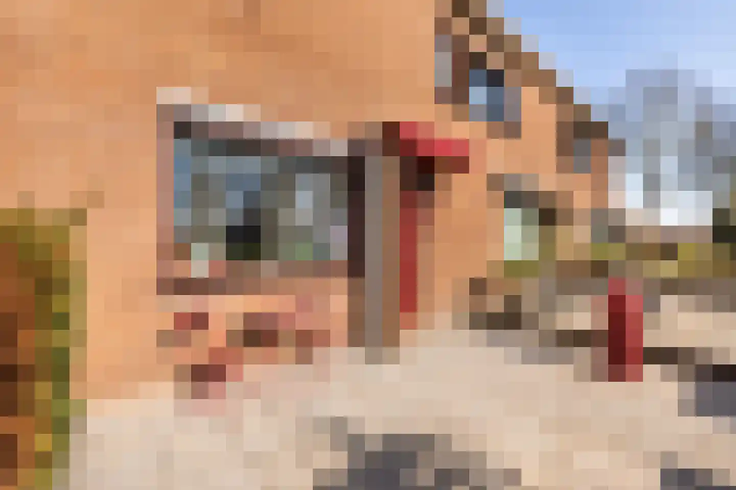 Seevank 86 Zwanenburg thumbnail 25