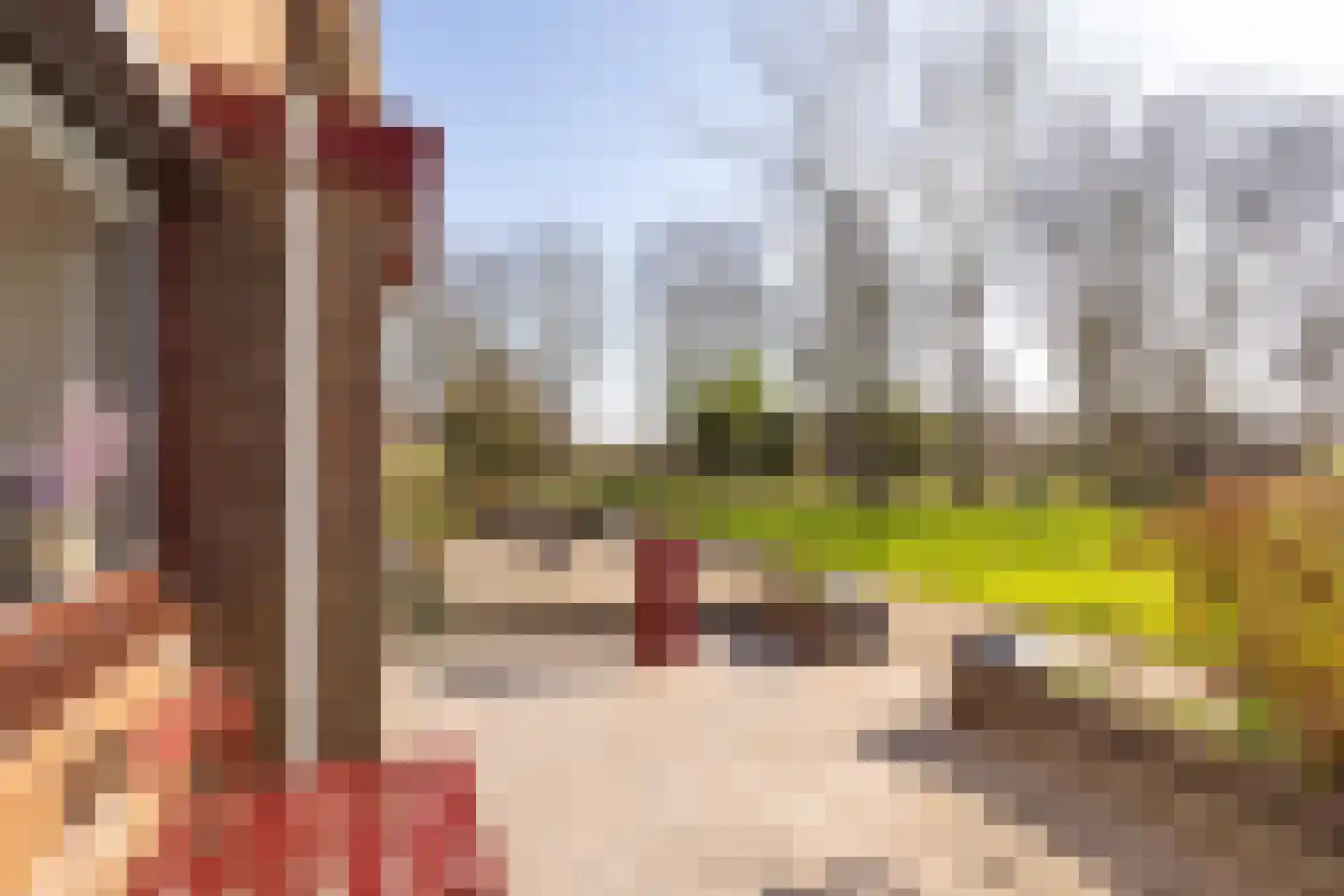 Seevank 86 Zwanenburg thumbnail 26