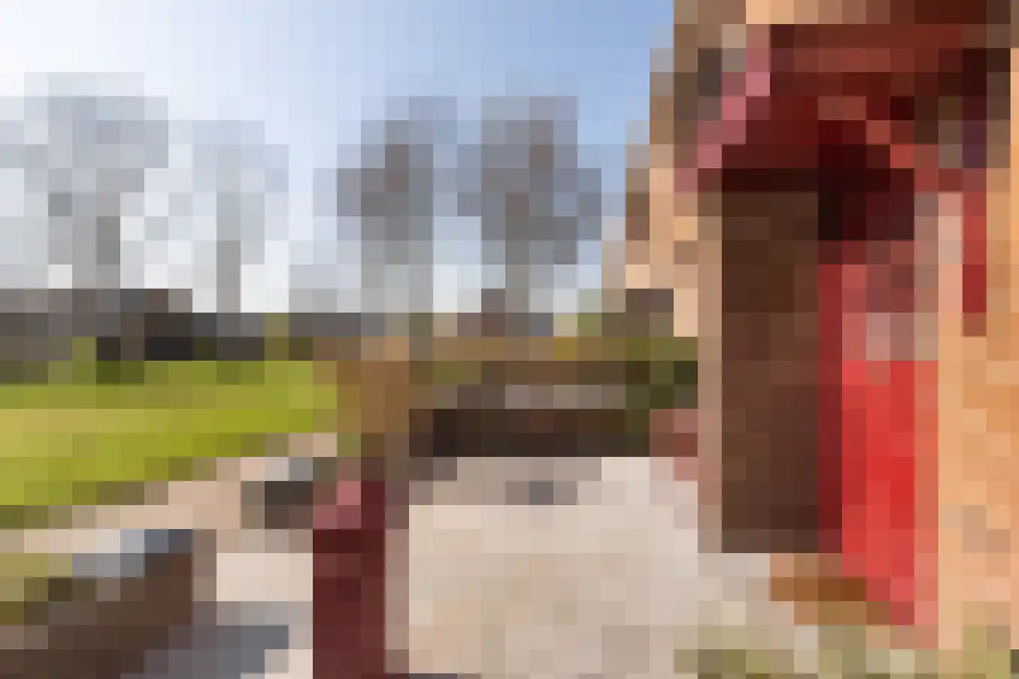Seevank 86 Zwanenburg thumbnail 27