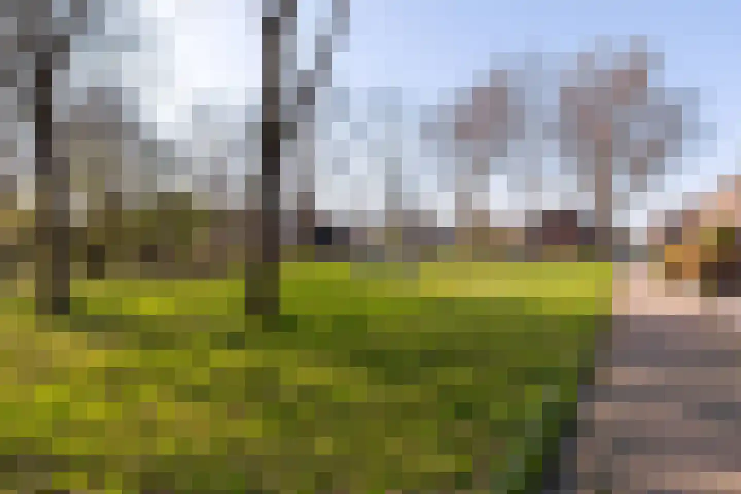 Seevank 86 Zwanenburg thumbnail 30