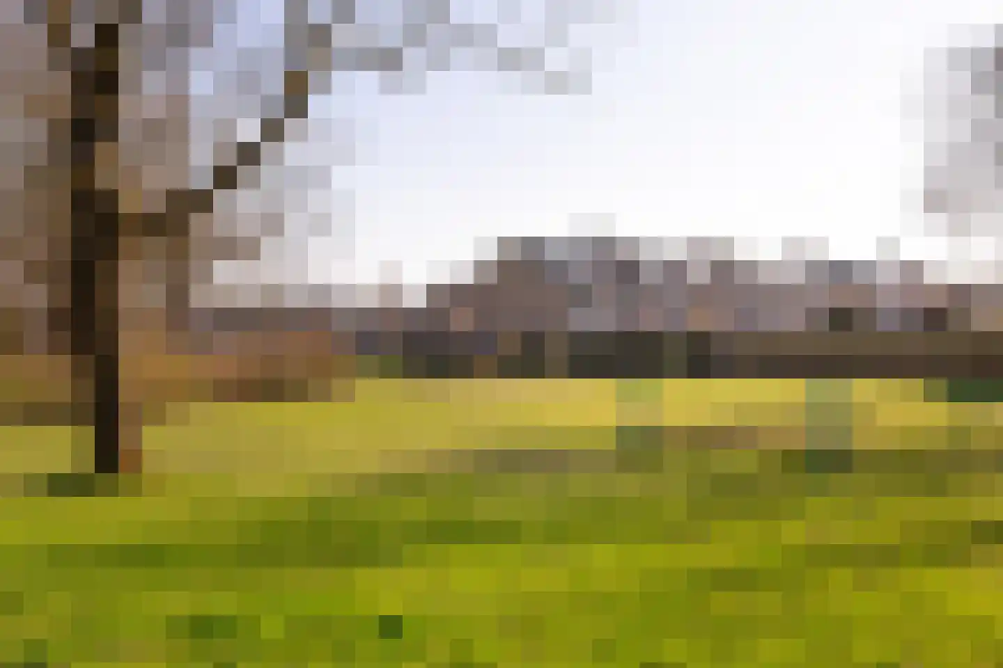 Seevank 86 Zwanenburg thumbnail 32