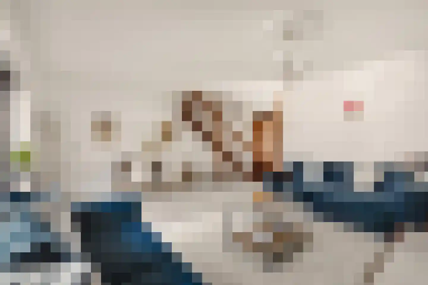 Seevank 86 Zwanenburg thumbnail 4