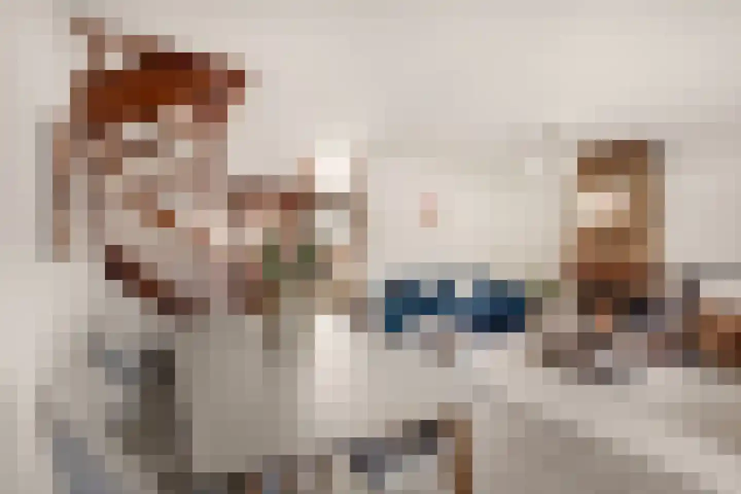 Seevank 86 Zwanenburg thumbnail 6