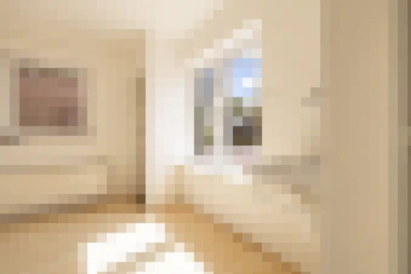 Seewei 29 Moddergat thumbnail 15