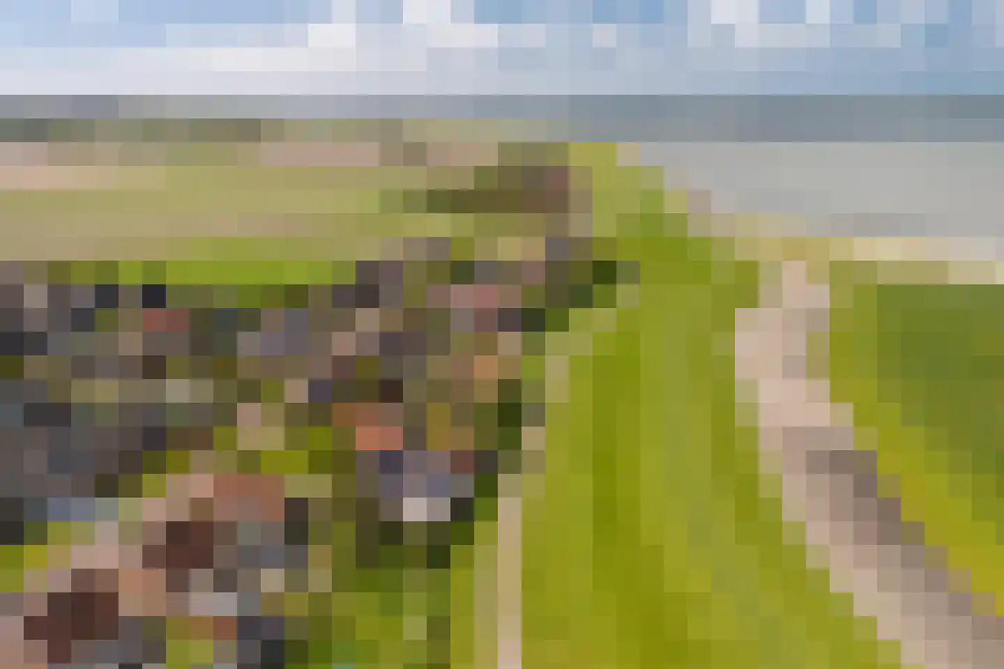 Seewei 29 Moddergat thumbnail 38