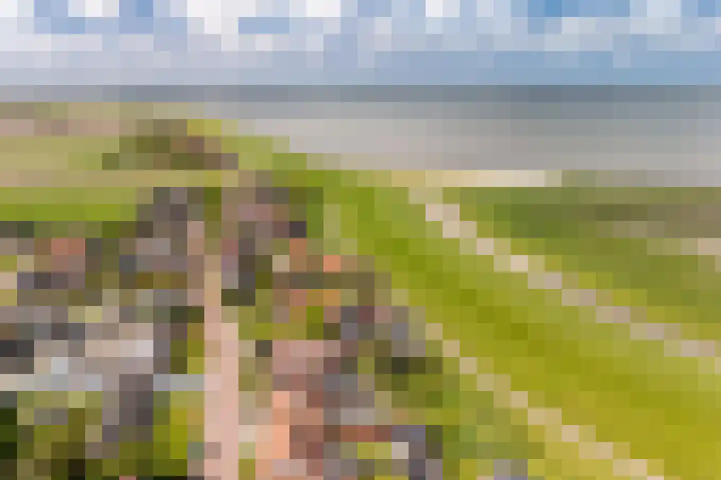 Seewei 29 Moddergat thumbnail 39