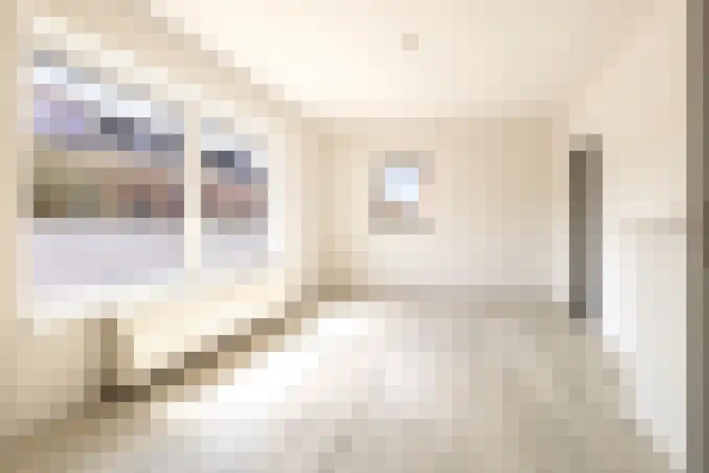 Seewei 29 Moddergat thumbnail 4