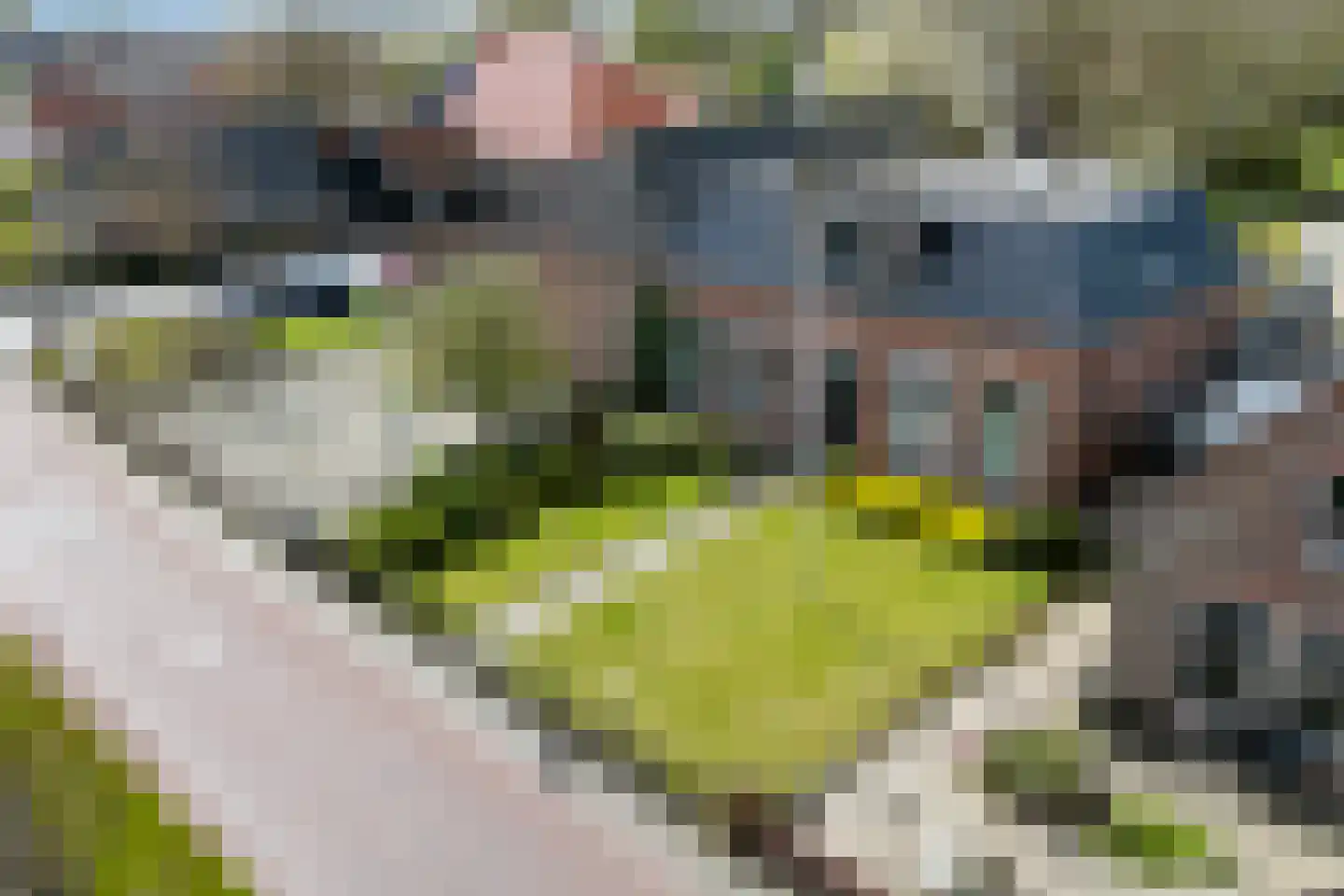 Seewei 46 en Moddergat
