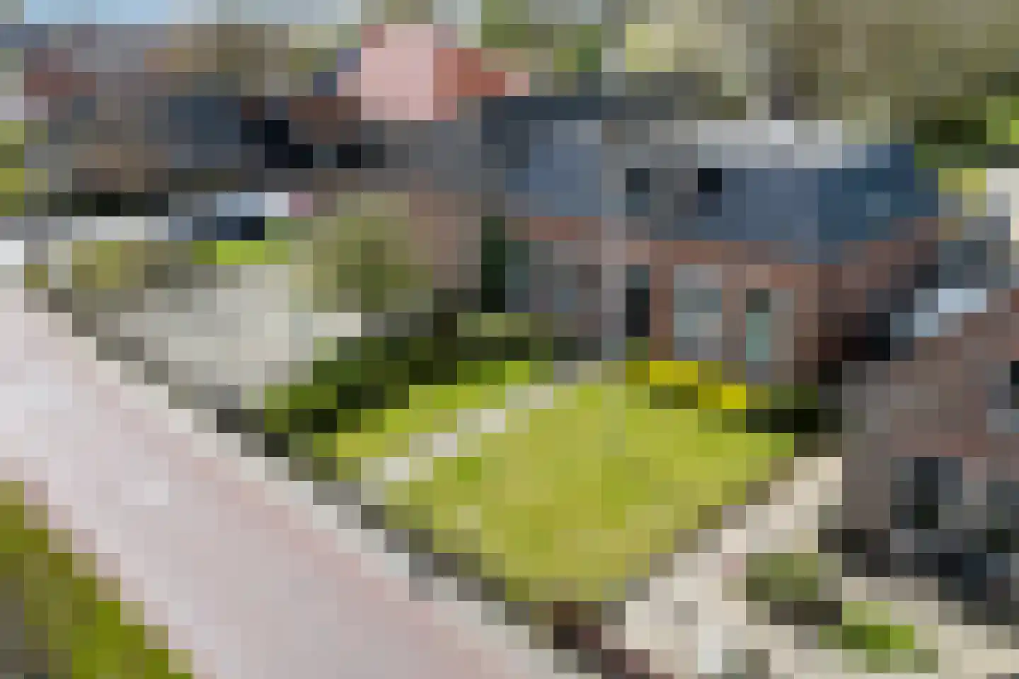 Seewei 46 en Moddergat