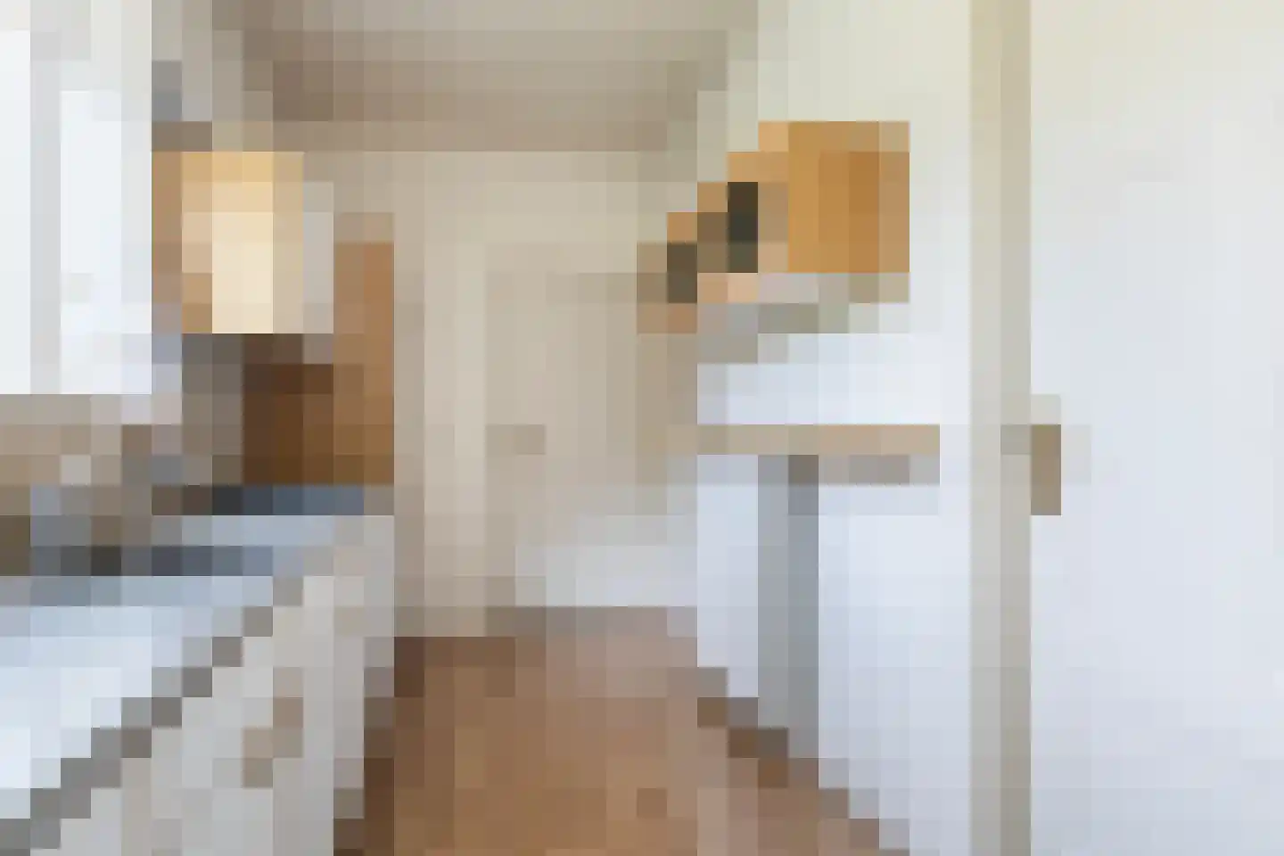 Seewei 46 Moddergat thumbnail 14