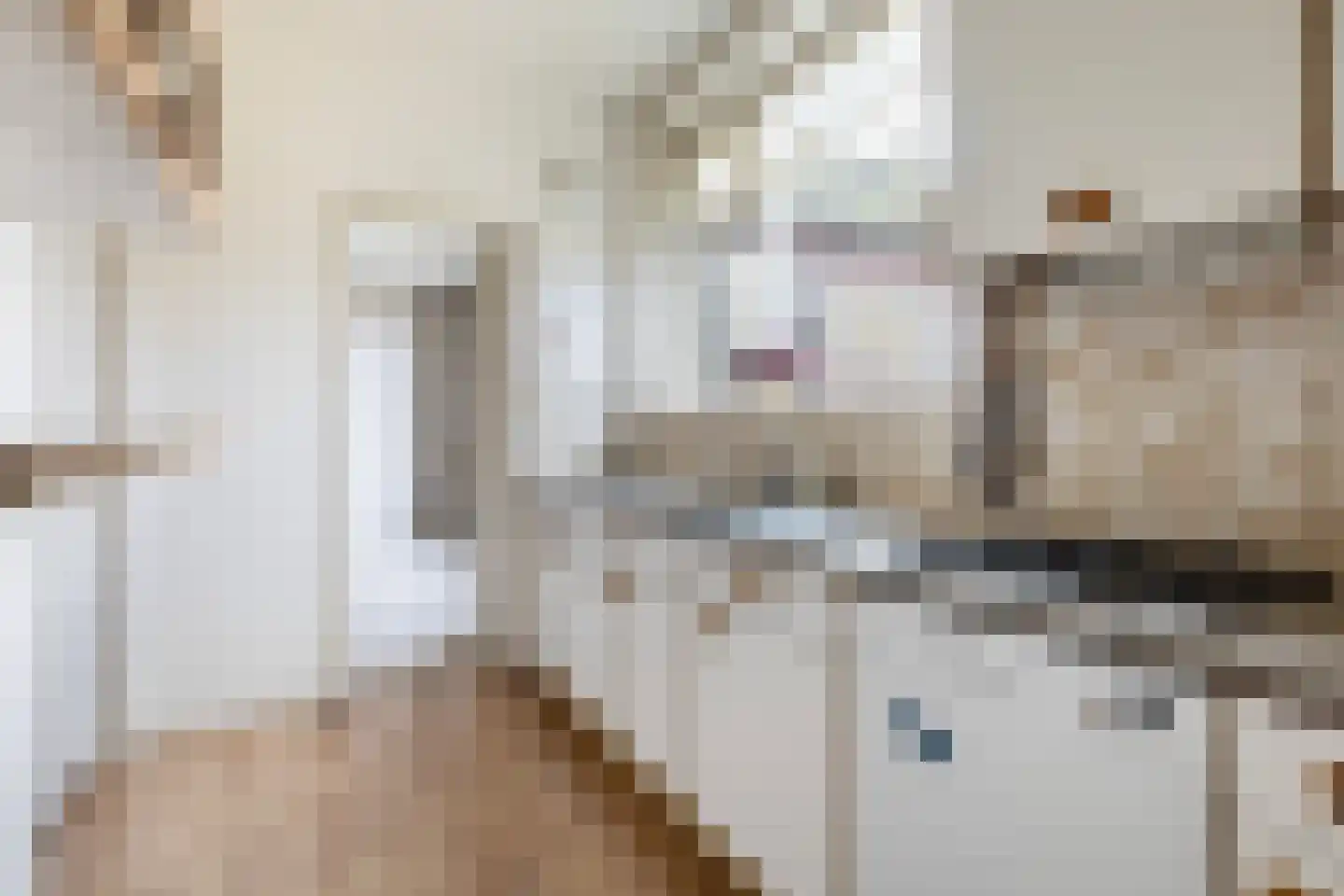 Seewei 46 Moddergat thumbnail 15