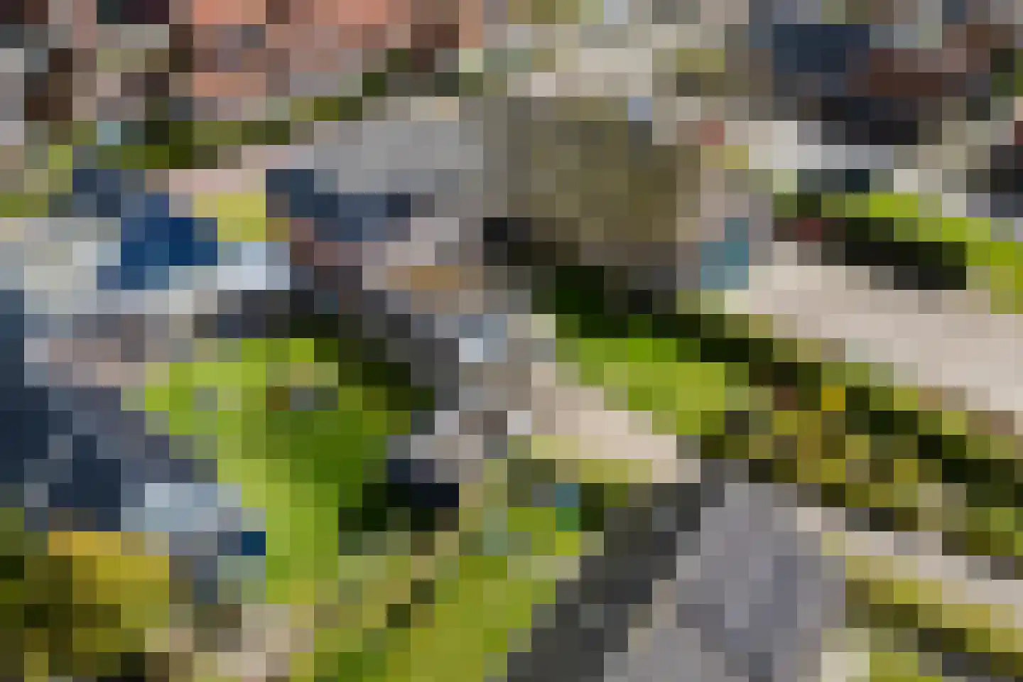 Seewei 46 Moddergat thumbnail 35