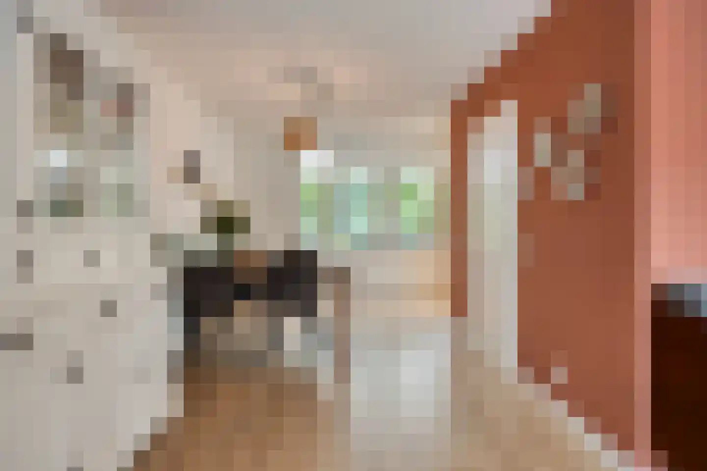 Sef Pernotlaan 36 Susteren thumbnail 10