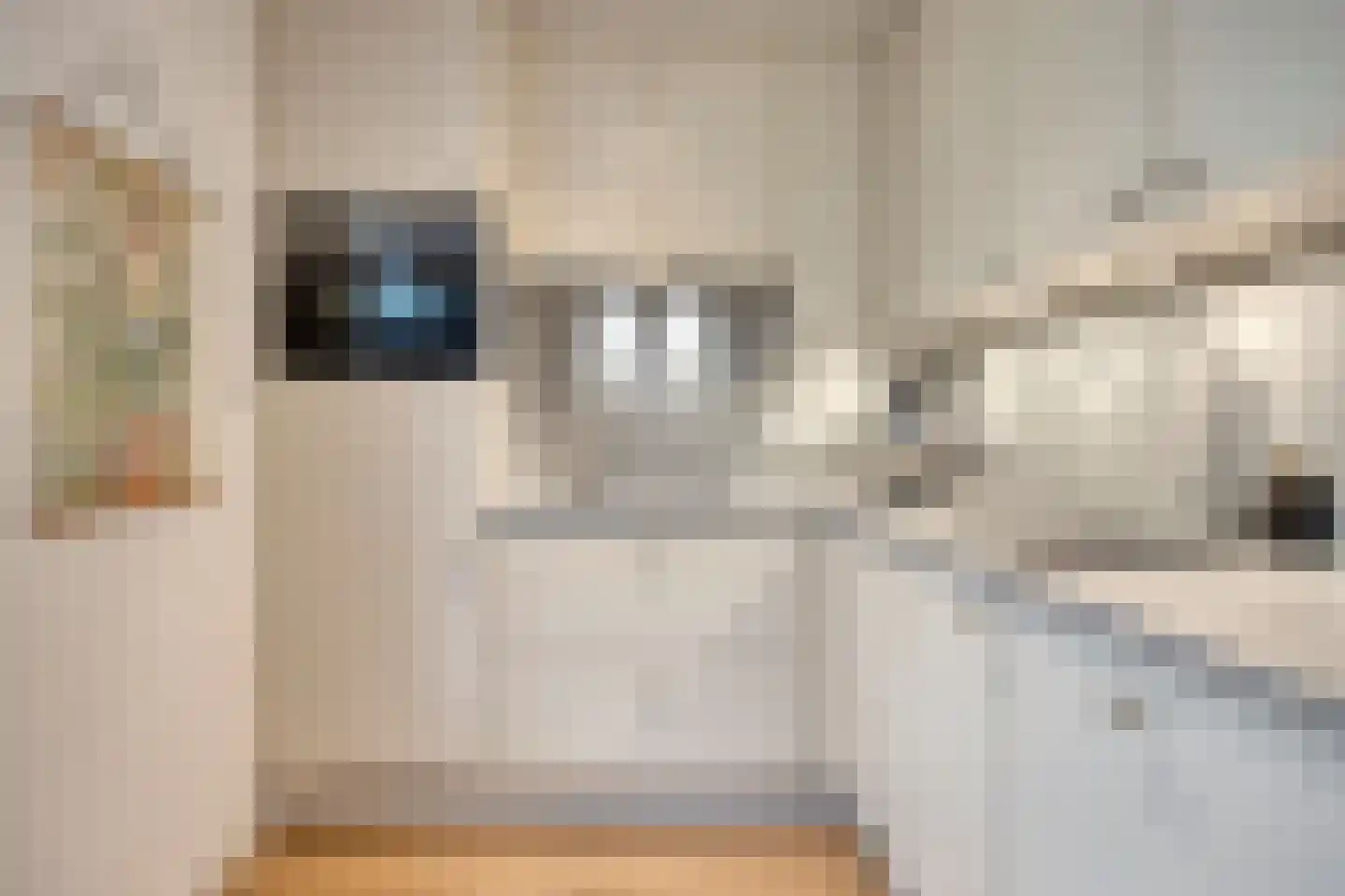 Sef Pernotlaan 36 Susteren thumbnail 14