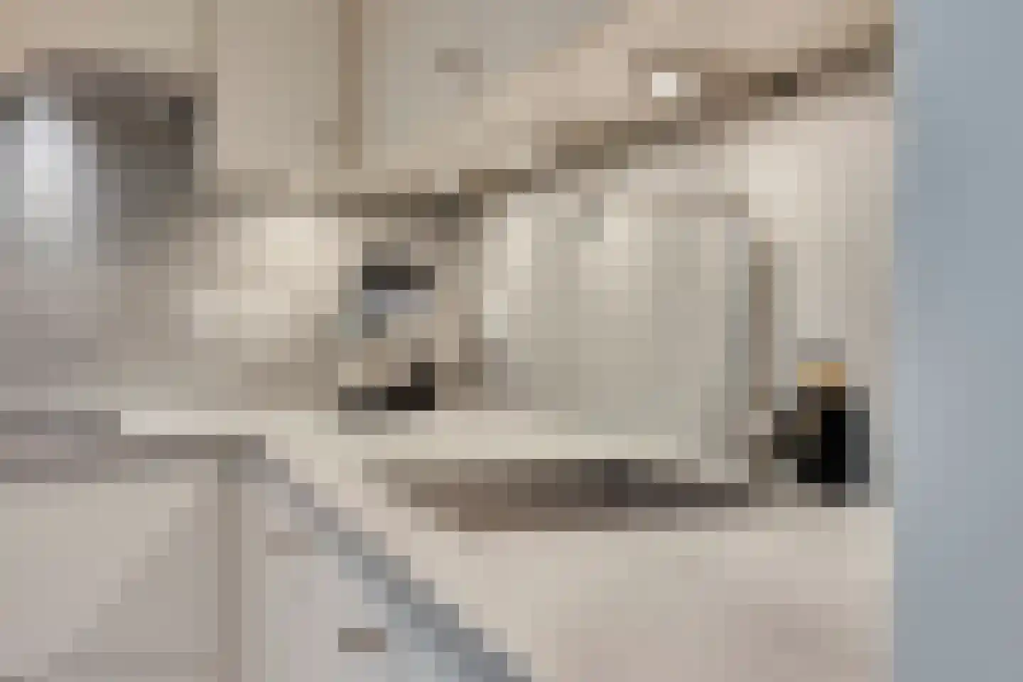 Sef Pernotlaan 36 Susteren thumbnail 15