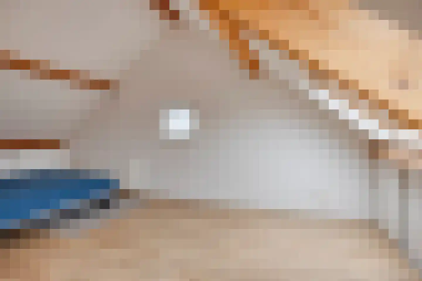 Sef Pernotlaan 36 Susteren thumbnail 30