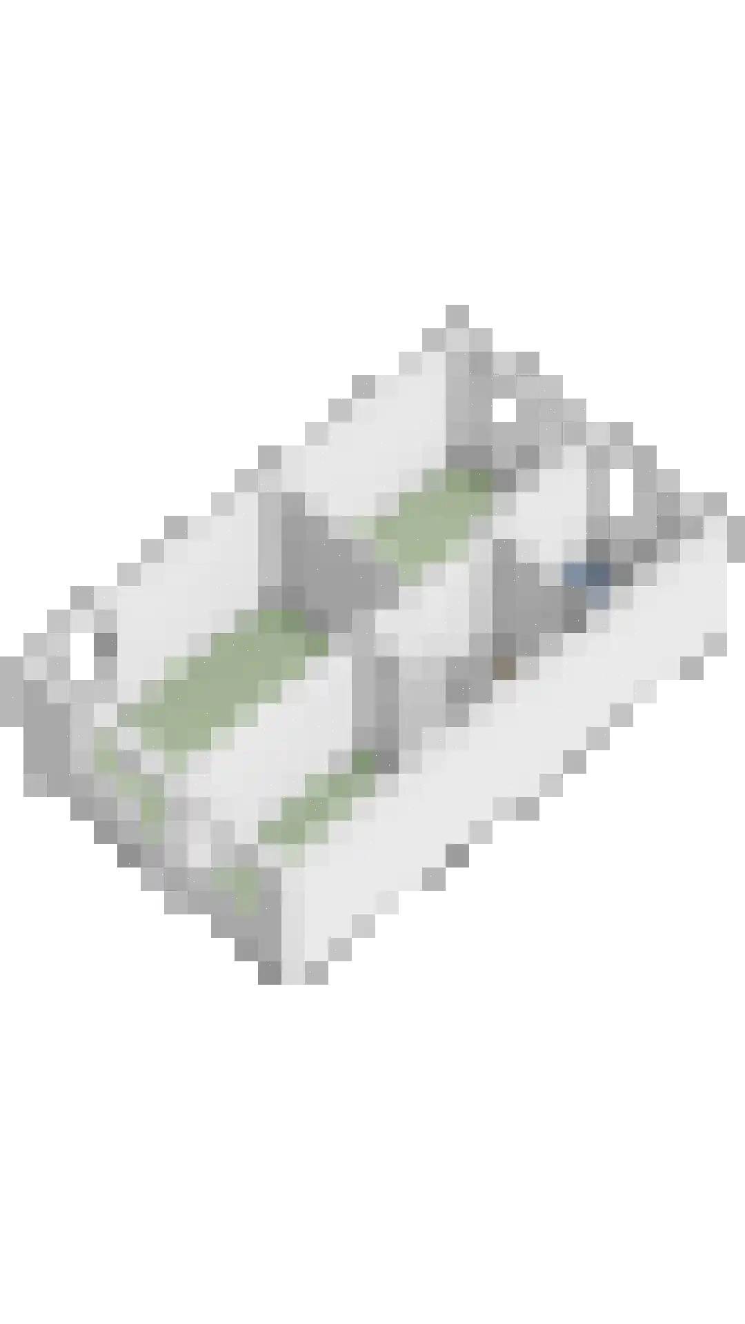 Sef Pernotlaan 36 Susteren thumbnail 39