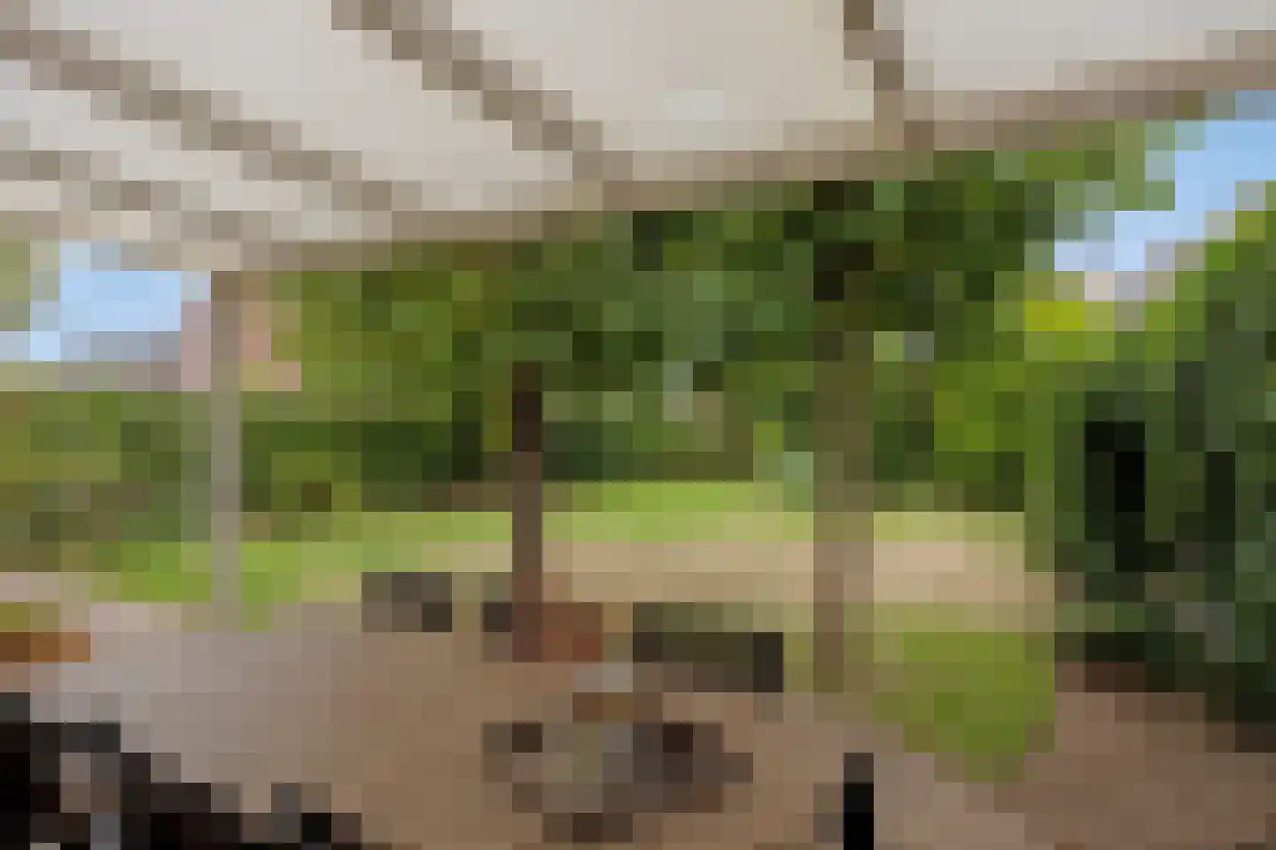 Sef Pernotlaan 36 Susteren thumbnail 4