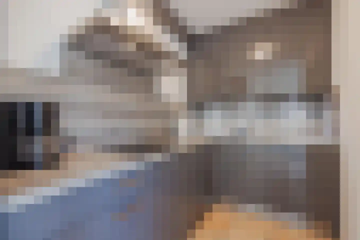 Sef van Megenlaan 25 Broekhuizen thumbnail 20