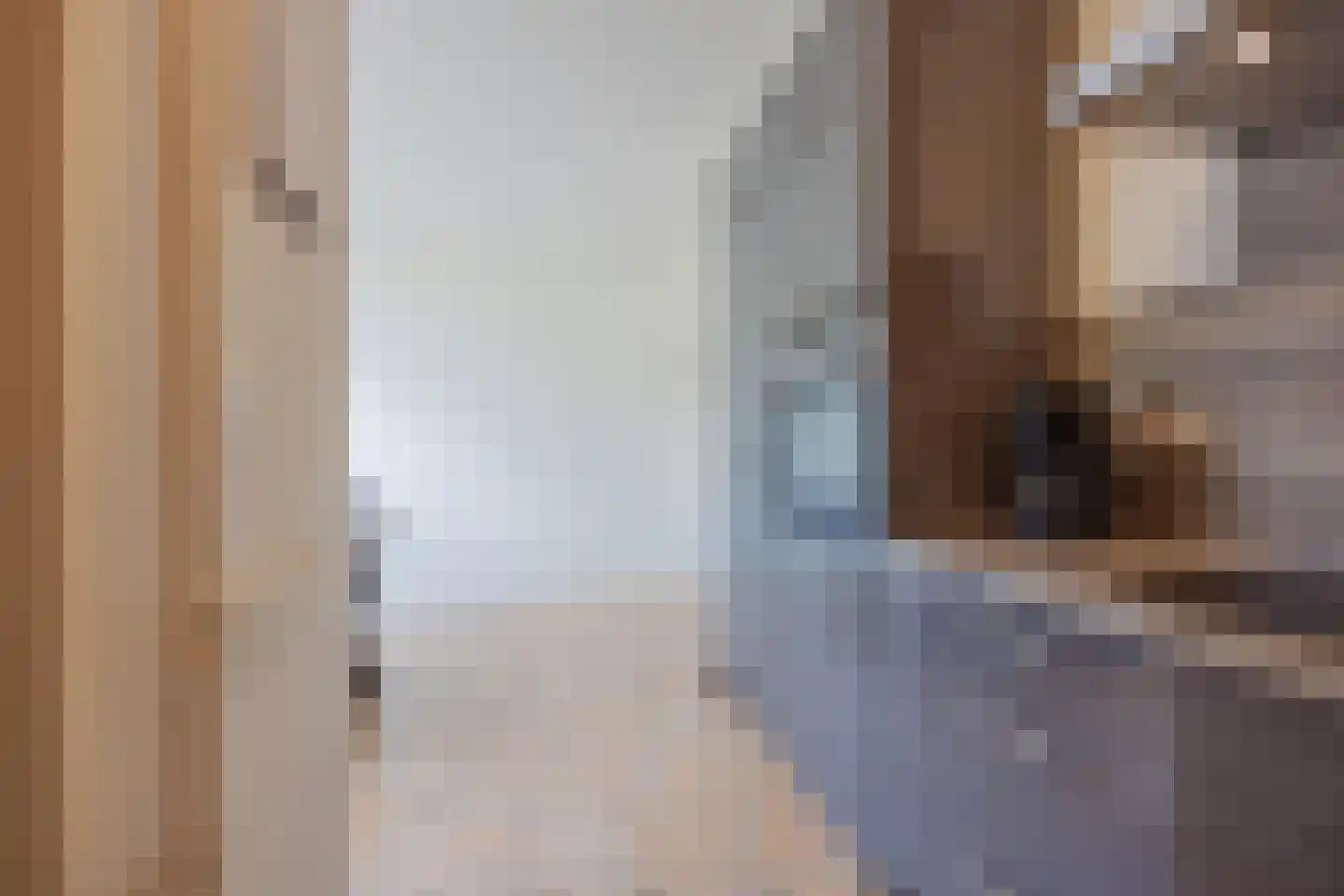 Sef van Megenlaan 25 Broekhuizen thumbnail 21