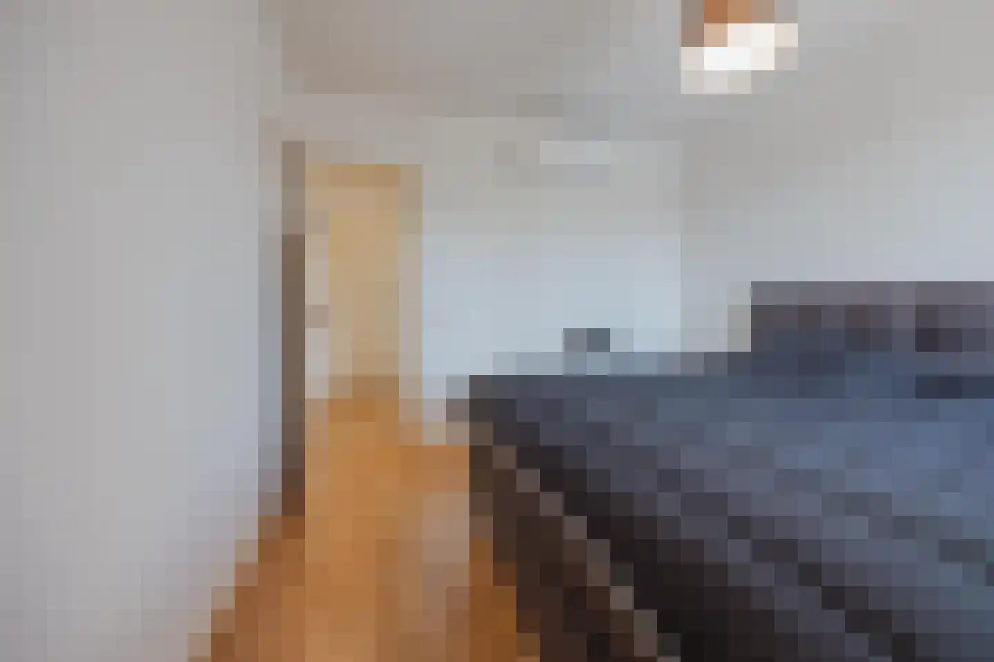 Sef van Megenlaan 25 Broekhuizen thumbnail 26